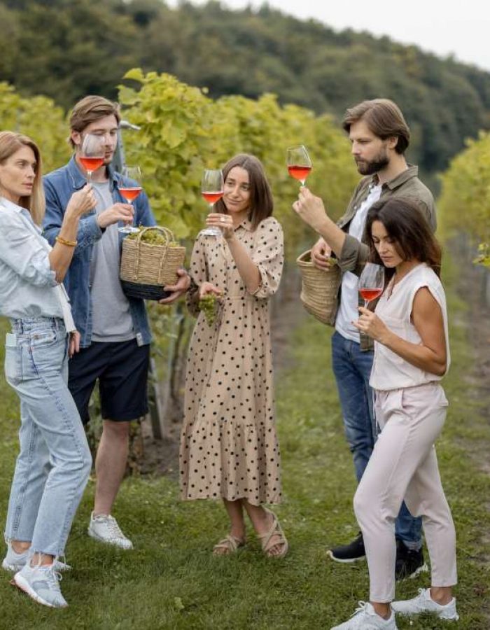 Amigos degustando vino cerca de viñedos en el campo